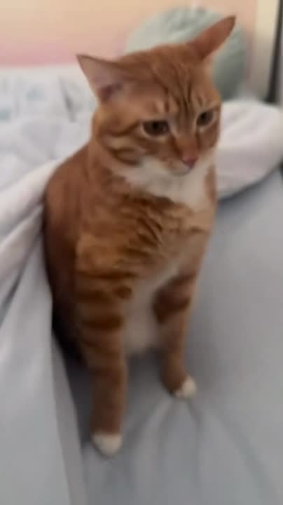 Днём по области +5° +10°, местами небольшие осадки (мокрый снег, дождь)