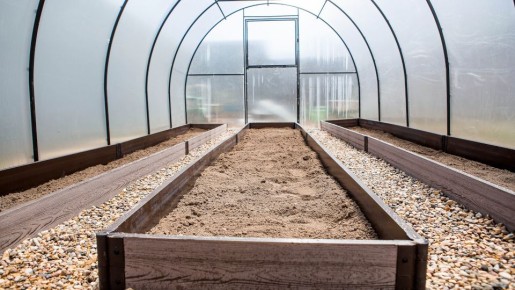 Весенние секреты обработки теплицы: здоровье растений и защита урожая