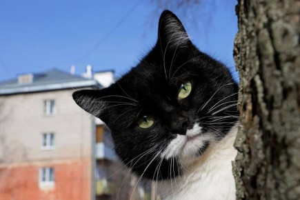 Аномальное тепло, нетипичное для середины марта, продолжает удерживаться на территории области