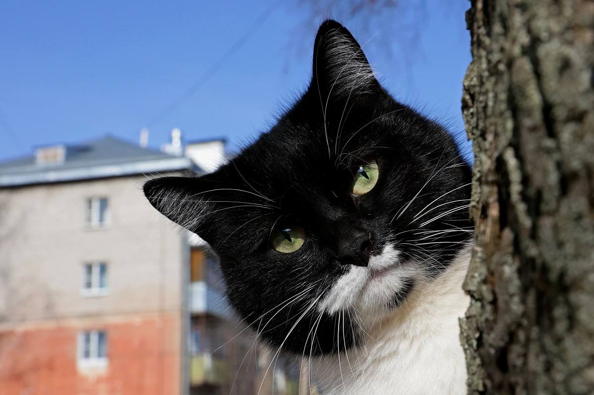 Аномальное тепло, нетипичное для середины марта, продолжает удерживаться на территории области