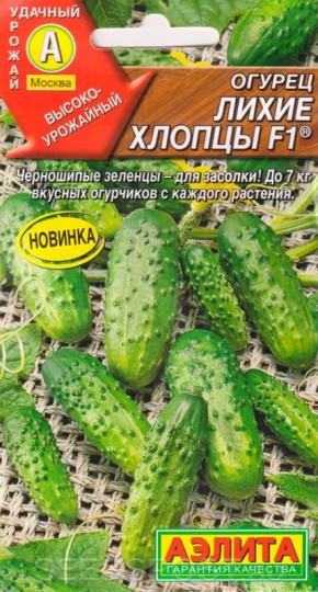 Лучшие сорта пучковых огурцов, которые стоит попробовать