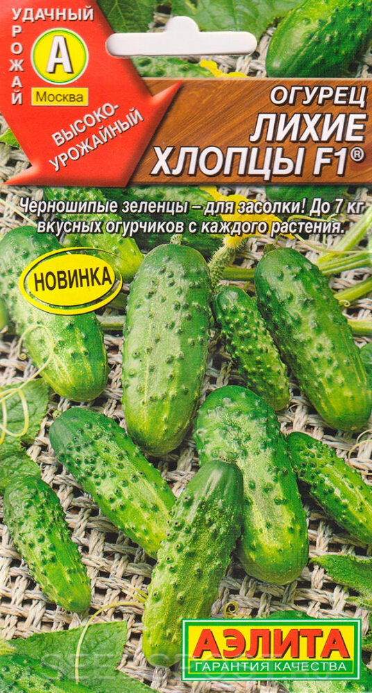 Лучшие сорта пучковых огурцов, которые стоит попробовать