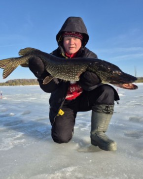 ��� ����� ���� ��������� � ����������� ������� �������