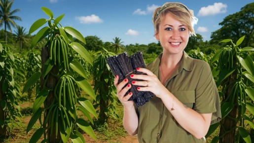 ������ ������� ������� ���� �� ������?