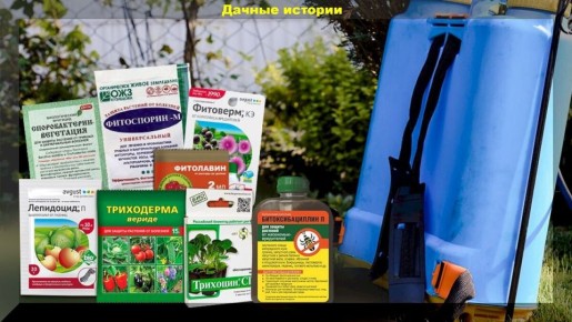 ������������ �� �������������: �������� ������� � ������ ��� ���������