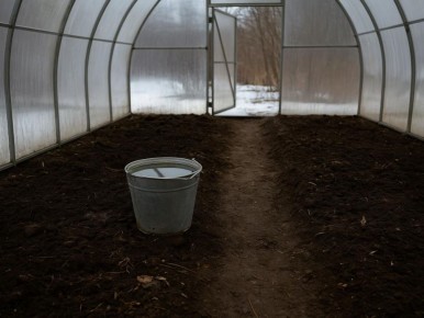 ����������� ��������� ������� ������� � ���������: ������� ������