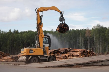 Георгий Филимонов: С начала 2026 года поступления от использования лесов в бюджет Вологодской области увеличились на 10,1%