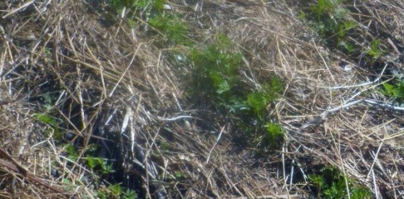 ��� �������� ������������� ��� ����������� �������