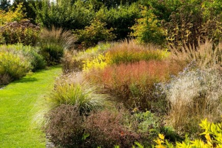 Дымки для вашего сада: Как создать стильный цветник