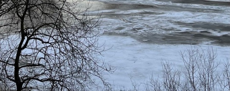 Рыбак на мотобуксировщике провалился под лёд в Череповецком округе