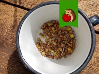 ��� �������� ������ ��������� �� �������� ������: ������ � ������������