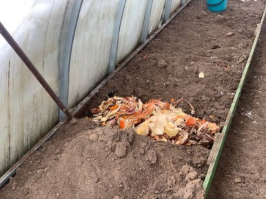 ��� �������� ������ ����� �������� �� �������� �������� � �������