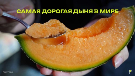 Юбари Кинг: дыня, достойная миллионеров