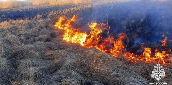 Пожароопасный сезон в Вологодской области стартует с 6 апреля