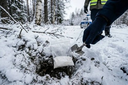 ������ ������� � �������� ������� ������ �� ������������ ����� �� ��������� �� ���� ����������