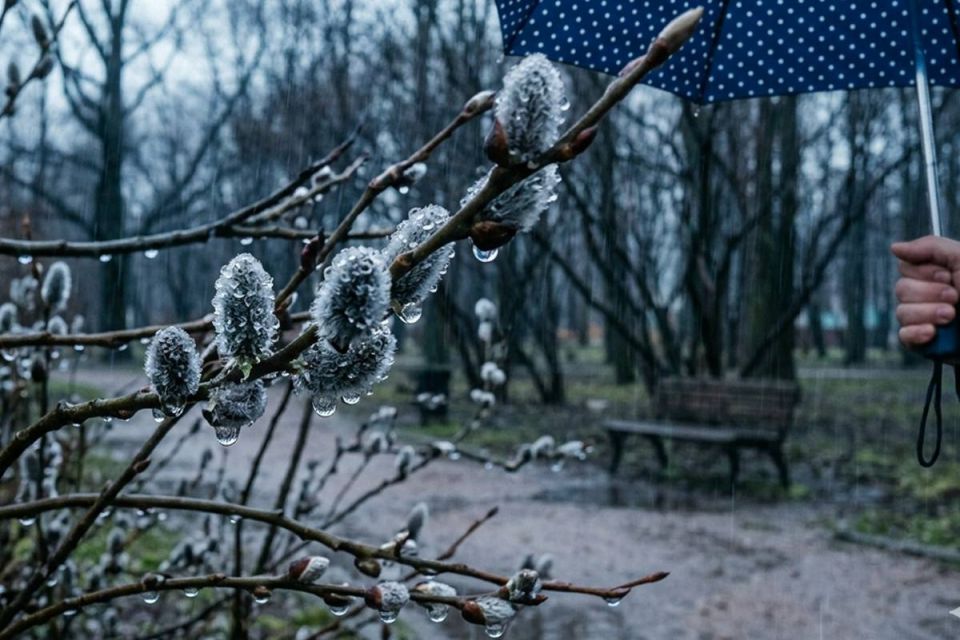 Сначала дожди, затем арктический холод — погода в Вологодской области меняется