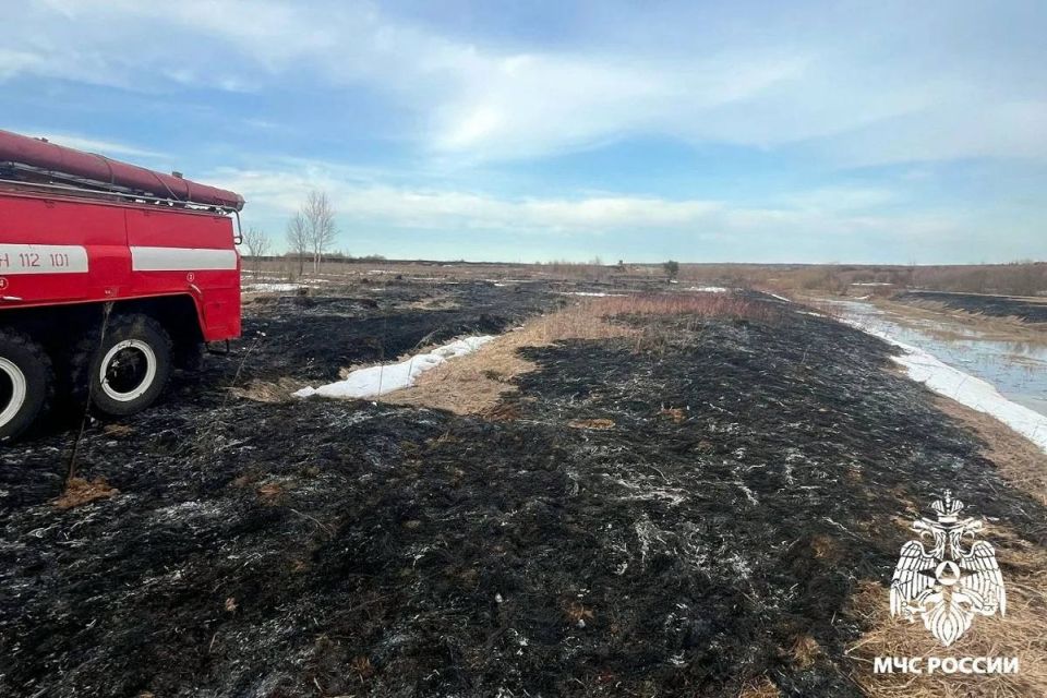 Два пала сухой травы за сутки зарегистрировали на Вологодчине