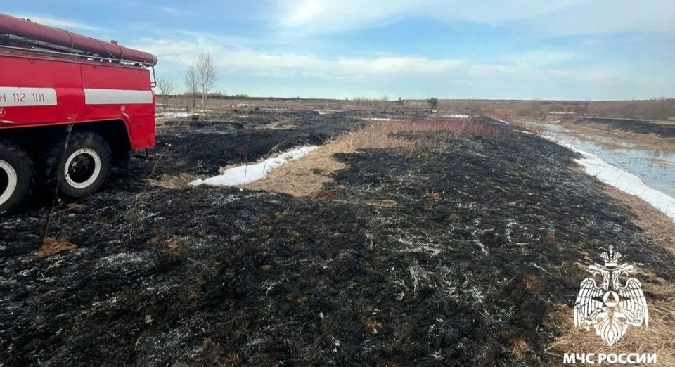 Два пала травы зарегистрированы за минувшие сутки в Вологодской области