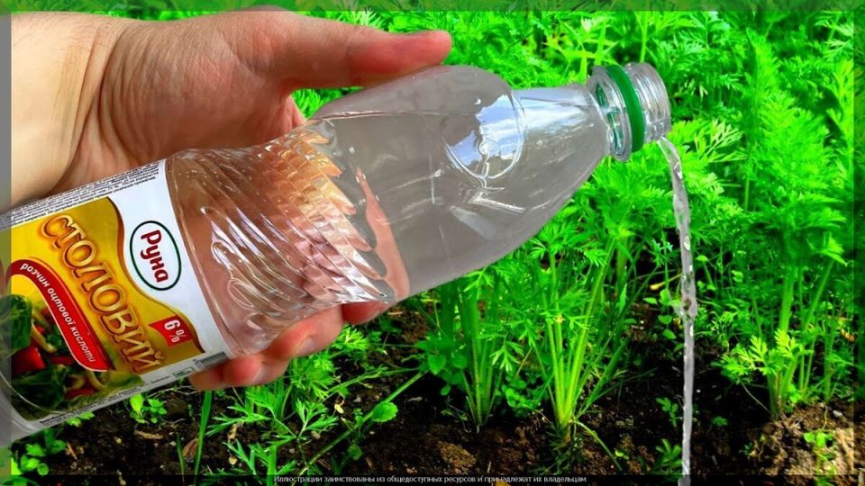 �����: ������ ��������� ����� � ������ �������� �� ����� �������