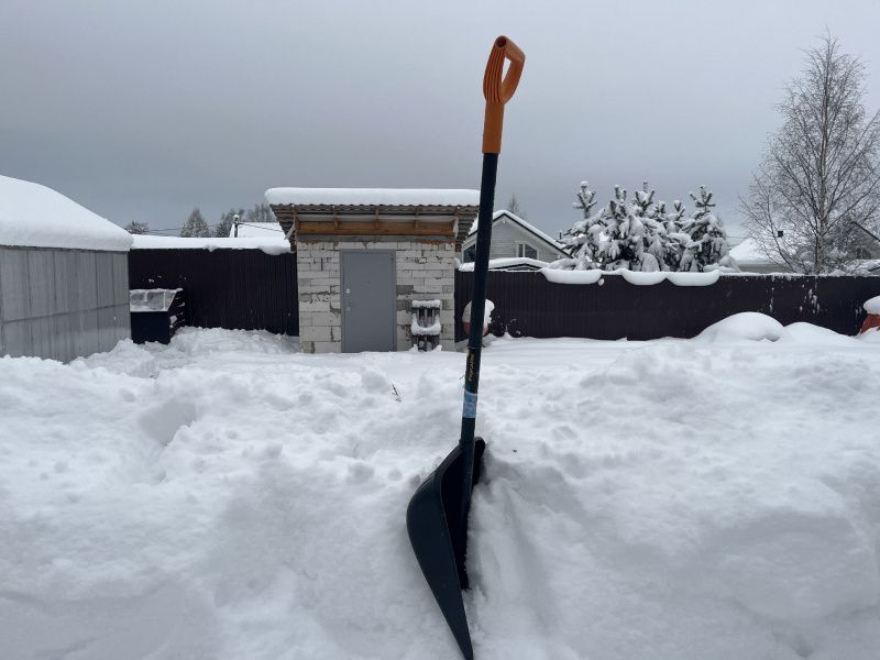 ��� ��������� ������� ���� � ���������� � ��������: ������ ����������