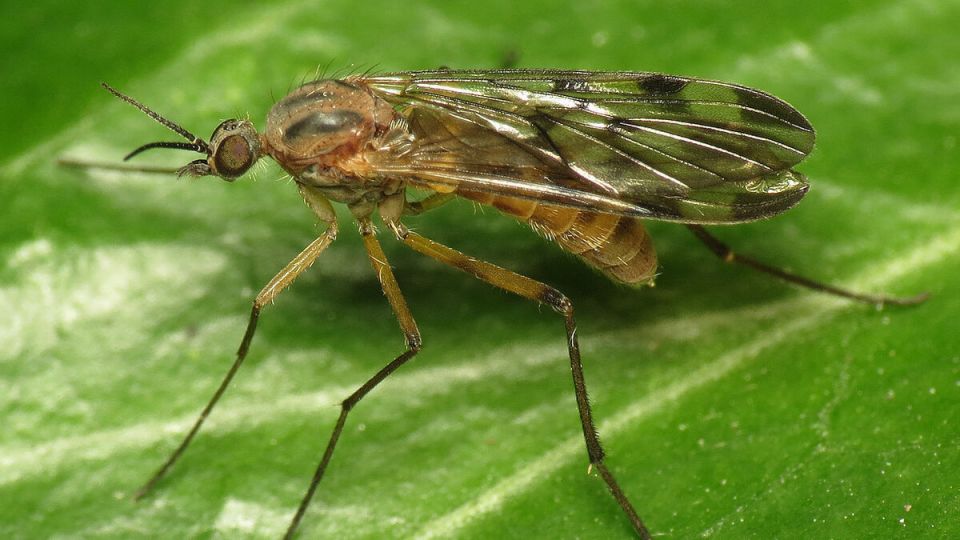 ����������� ������� ������ � ���������� ������� ��� ����� ��������