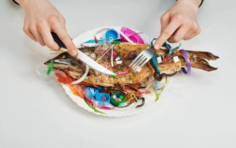 Грибы как решение проблемы микропластика: неожиданные союзники природы