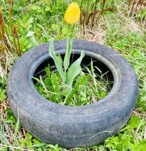 ���������� �������������� ������ ��������: ����� ���� ��� ������ ������� �������