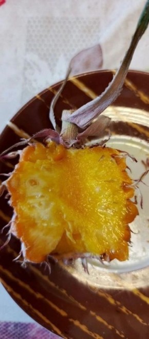 ������ �� ����������� ��������� ����������