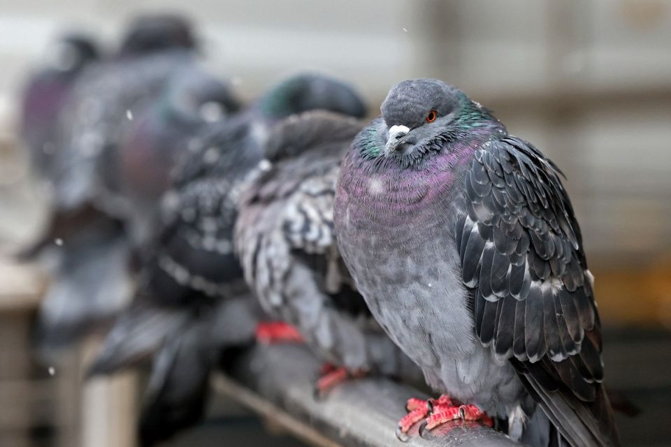 Ҹ���� ���� ������ �� ������� �������