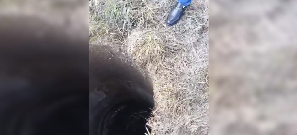 ��������� ������ ���������� � ������� � ������