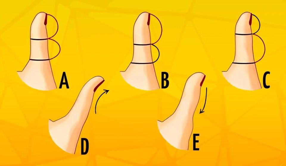 ��� ����� �������� ������ �������� ����� ����� ��������