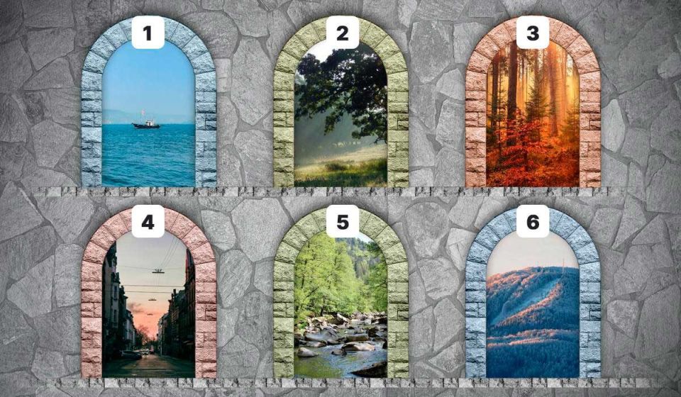 ���������� � �����������: ������������ ����, ���������� ���� ��������