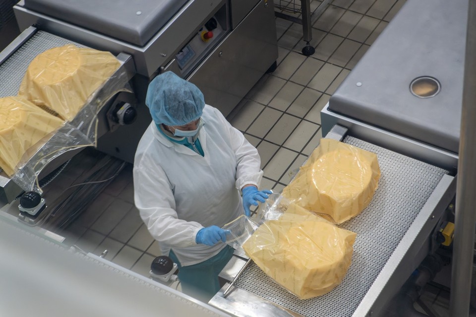 Сыроделы под прицелом: нарушения на заводе в Лениногорске