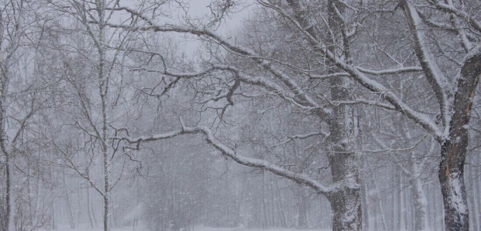 ��������������� �������: �������� ������������ �� �������� �����, ��������� � ����������