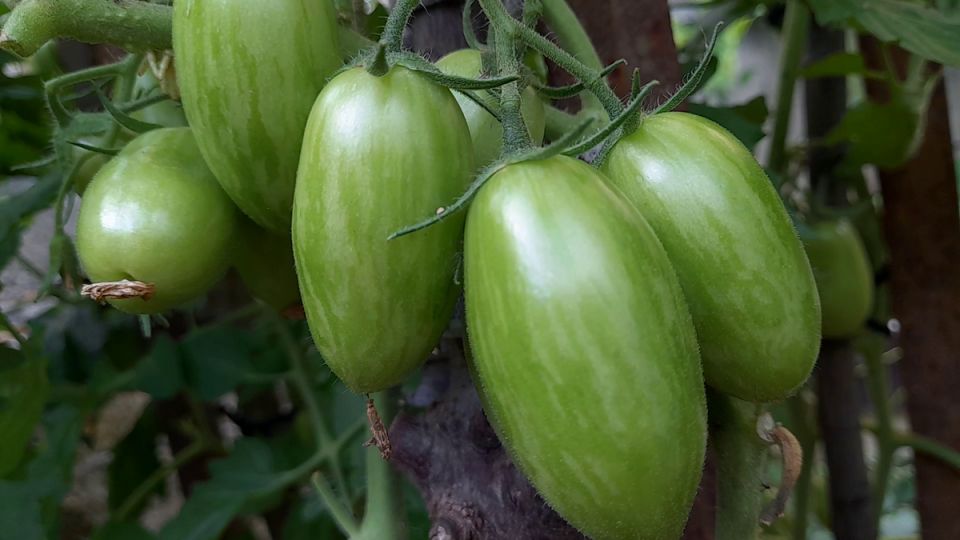 ��� �������� ������ �� ��������� ����� � �����������: ����������� ������