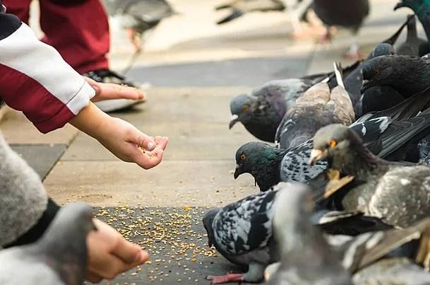 �� ��������� ������� � ������������ ������ ����� ������� ����� �� 5 ����� ������