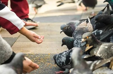 �� ��������� ������� � ������������ ������ ����� ������� ����� �� 5 ����� ������