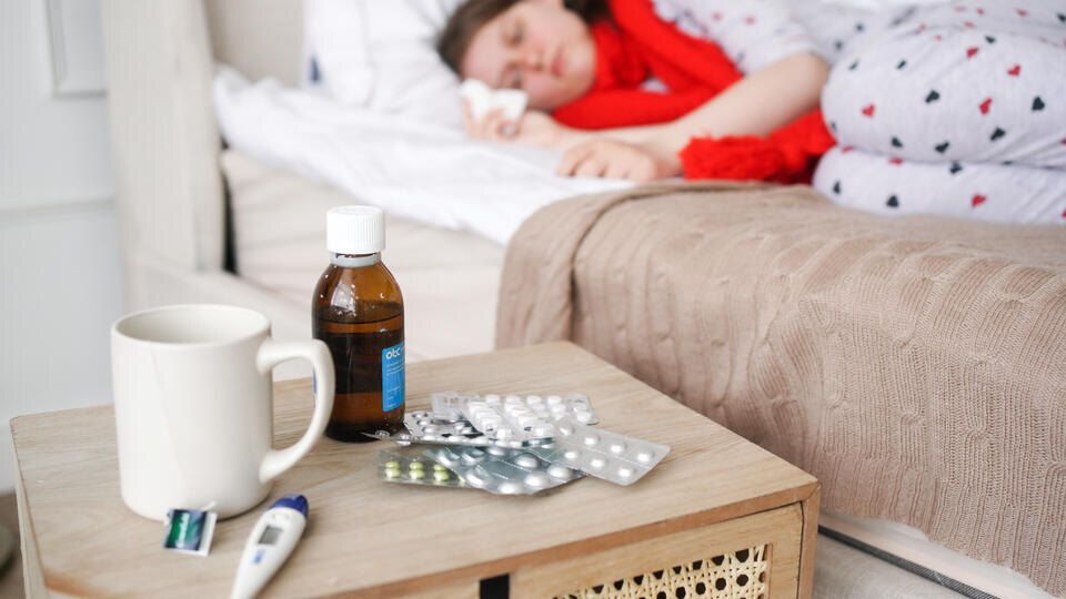 � ������ ����� �������� ������� ���������� ��������� � ���� 2026 ����