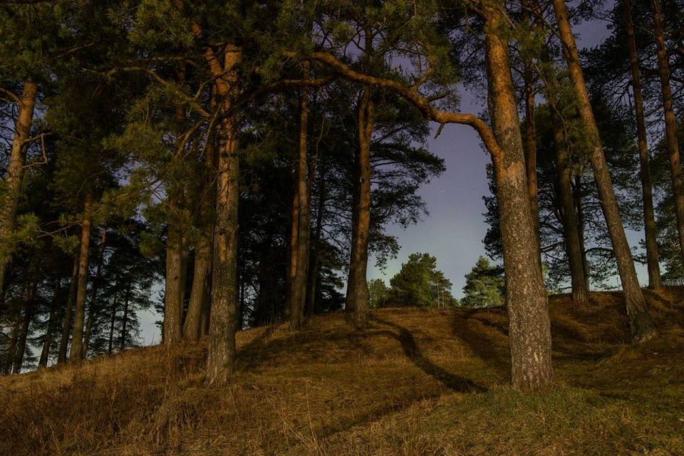 ���� �� ������� +1� +6�, ���������, ������� ��������� ������ (����, ������ ����, �����)