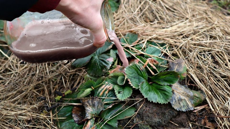 ��� ��������� ���������� �������� ����� ���� ��� �������� ������