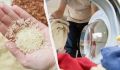 Рис в стиральной машине: неожиданный способ борьбы с запахом и плесенью
