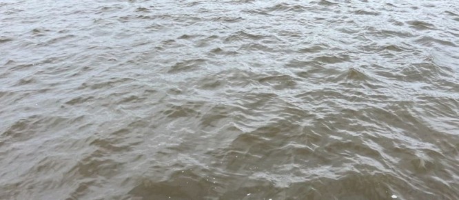 ������� ���� ����� �������� � ����� ������������ ������