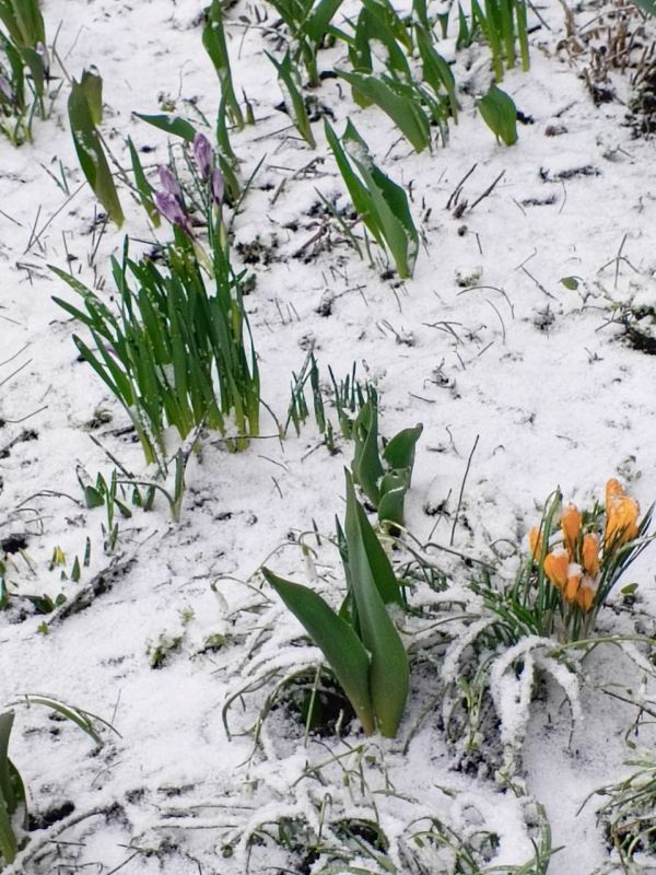 �� ����� �����!. ����������� � ��������� ����� ������������ ������� ����� ���������