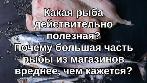 Почему рыба может быть вреднее, чем кажется: разбор основных мифов