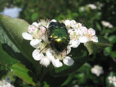 ������: ��� ������� ���� ������� ��������� � ��� ��� ����������