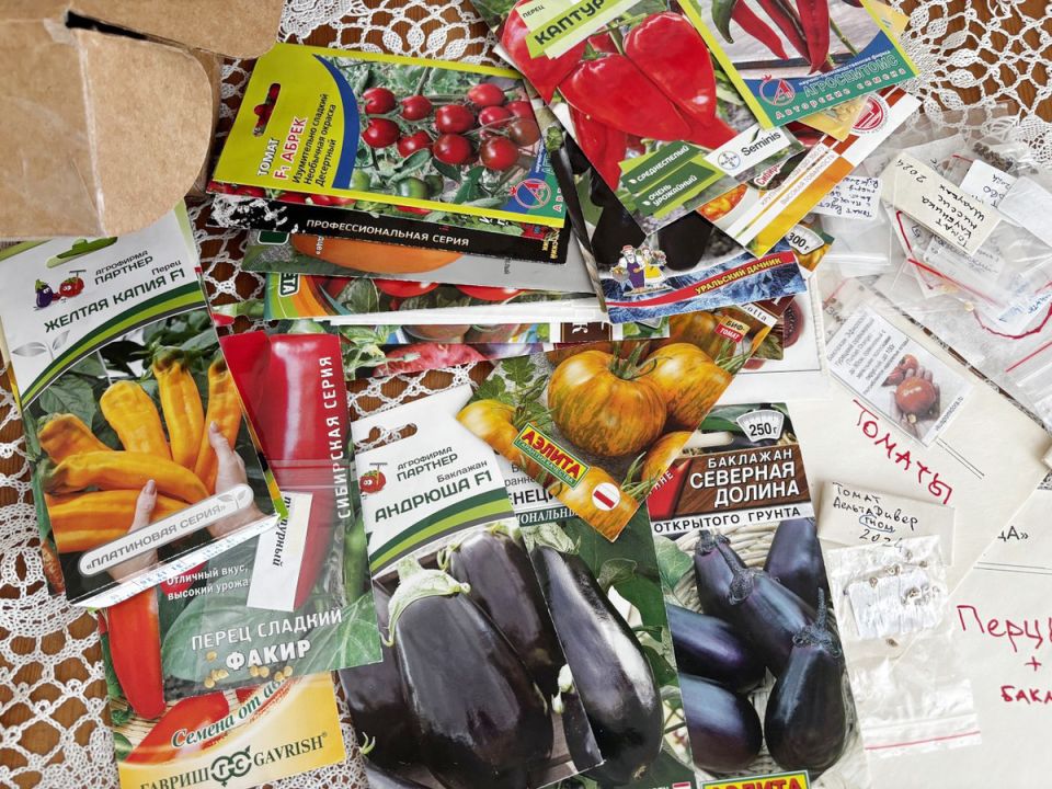 ����� ����� ����� ��������: ����������� �������