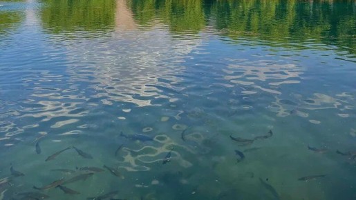 ����� ������� ������� ���������: ��� ��������� ����� � ������ � �������