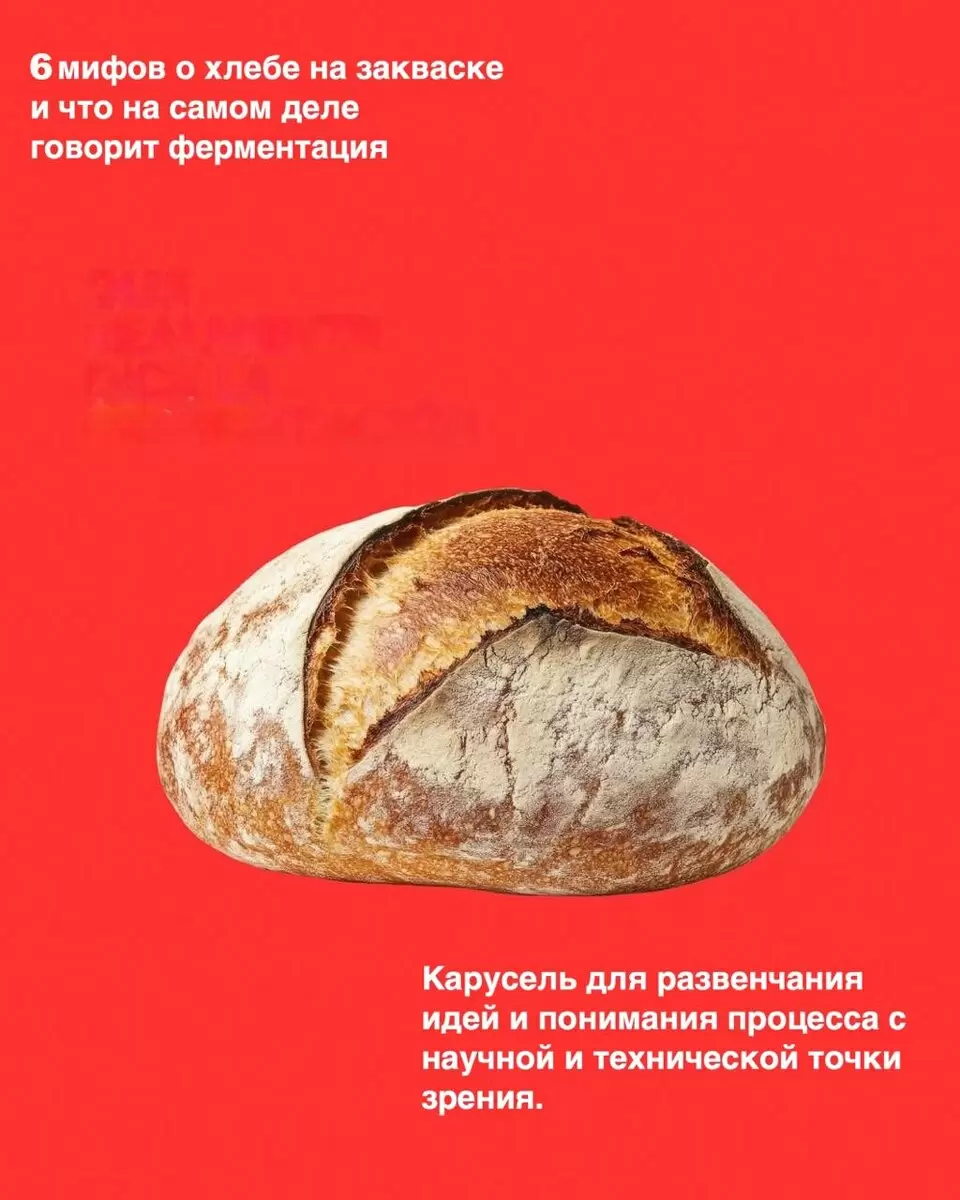 Развенчивая мифы о закваске: что стоит знать каждому
