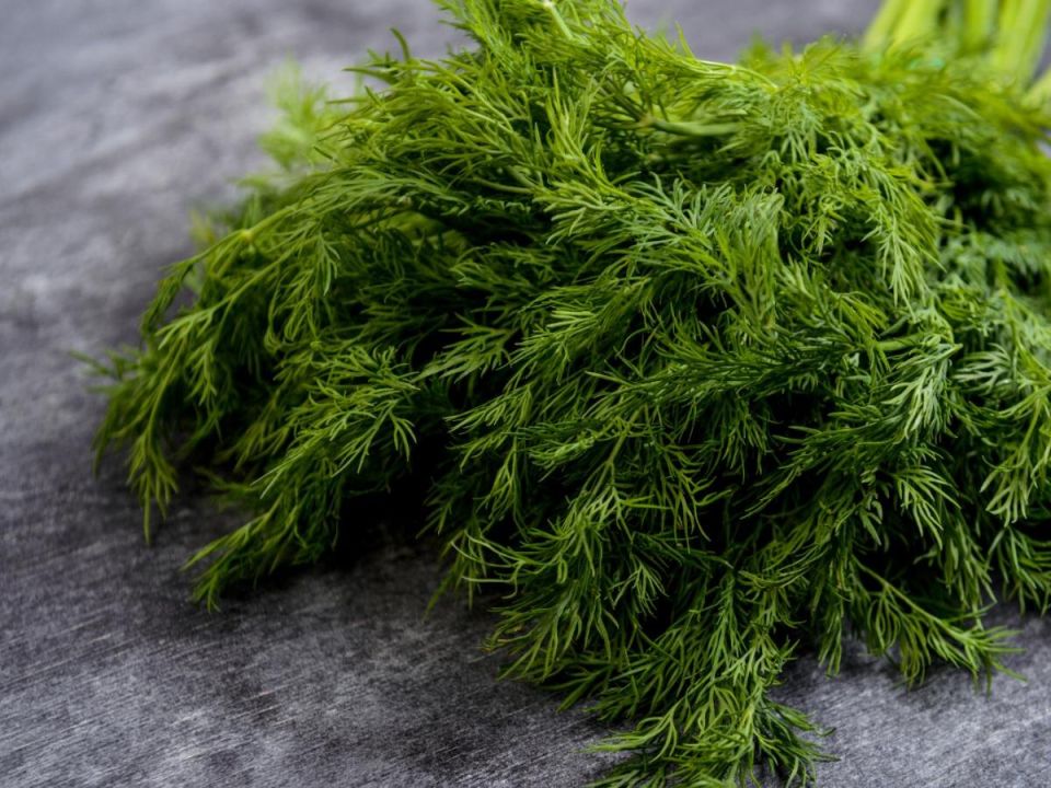 ��� ����������� ������ ������: ������� ����������� �����������