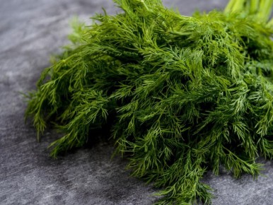 ��� ����������� ������ ������: ������� ����������� �����������